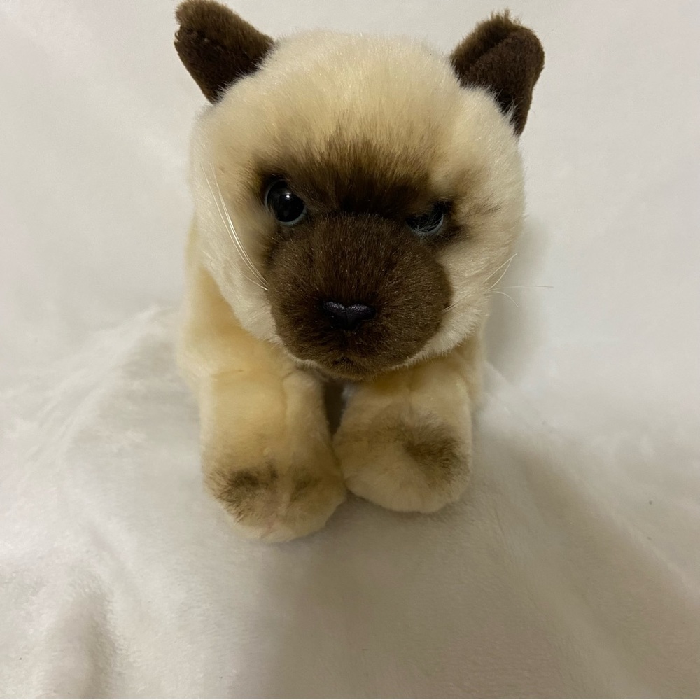 Toys R Us Exclusive Animal Alley Cat Plush Siamese Himalayan Realistic Kitty Cat